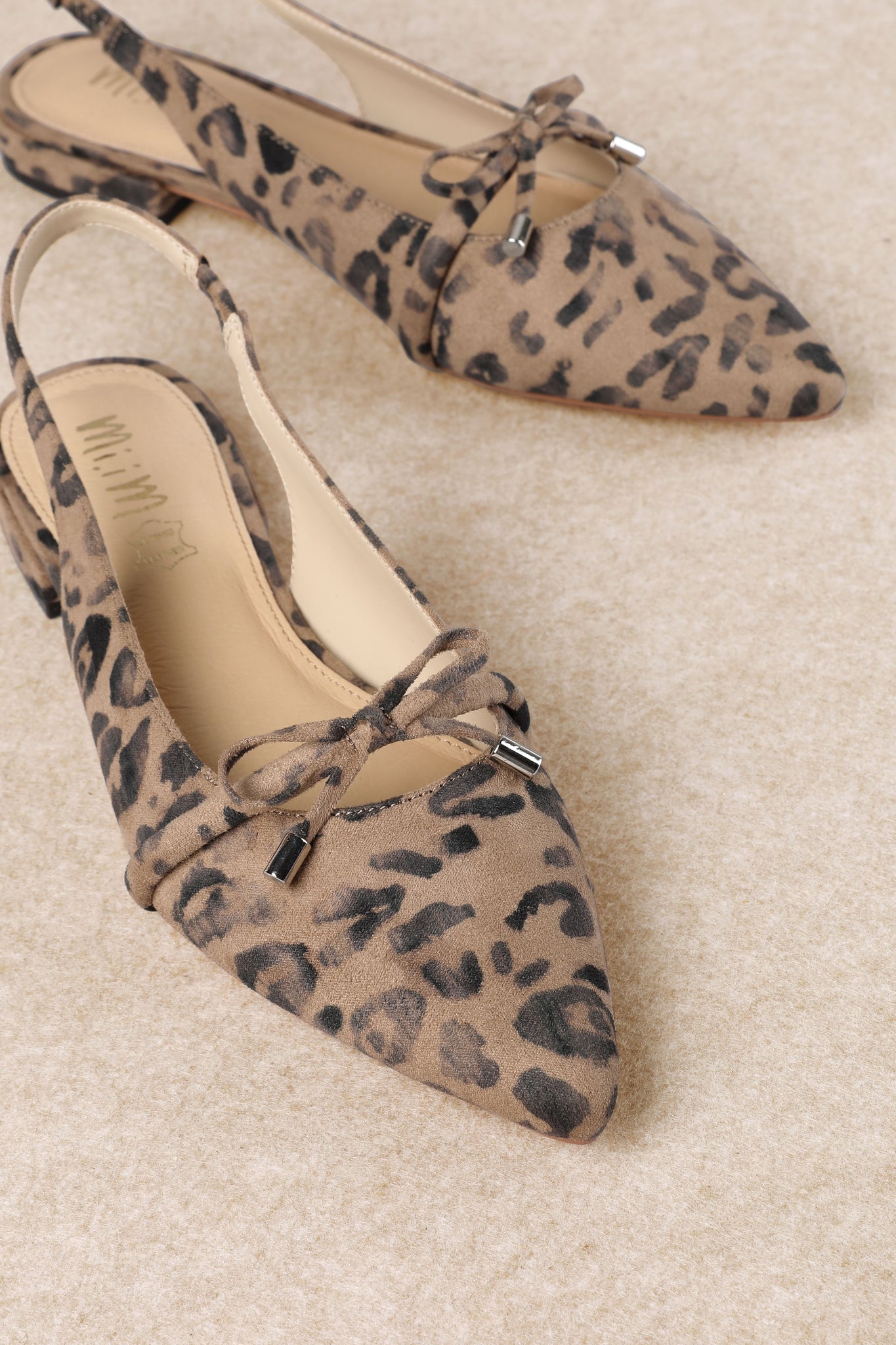 Pardina Leopard