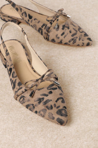 Pardina Leopard