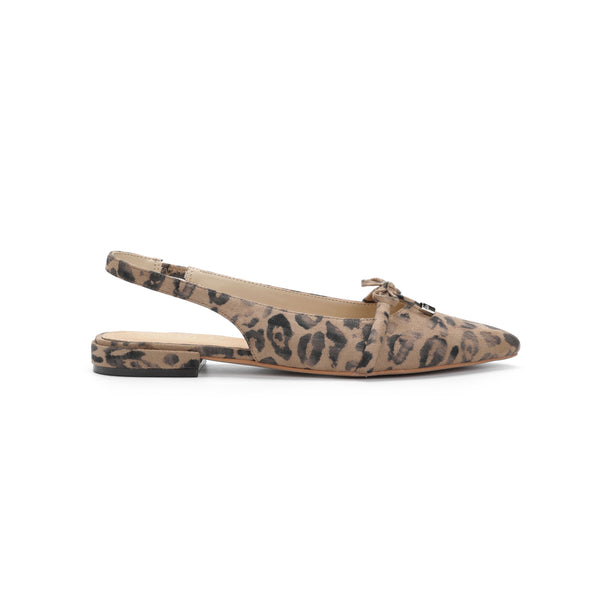 Pardina Leopard