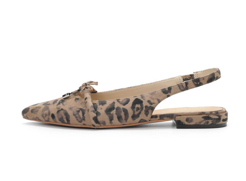Pardina Leopard