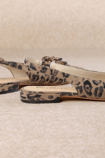 Pardina Leopard