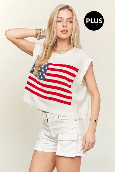 Cropped Flag Sweater+