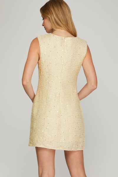 A Little Sparkle Dress