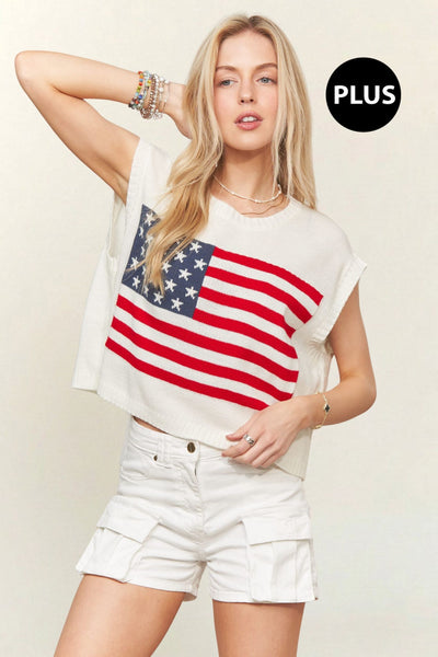 Cropped Flag Sweater+