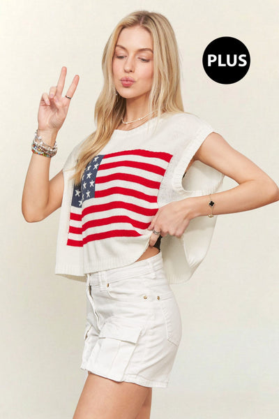 Cropped Flag Sweater+