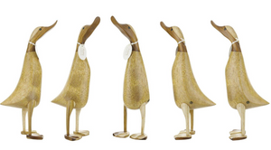 Natural Ducklets