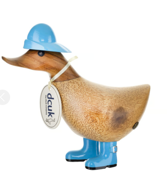 Rainy Day Ducky's