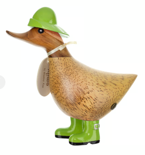Rainy Day Ducky's