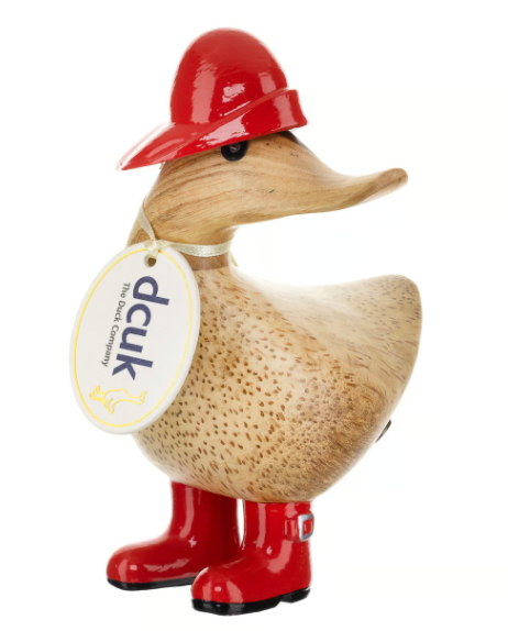 Rainy Day Ducky's
