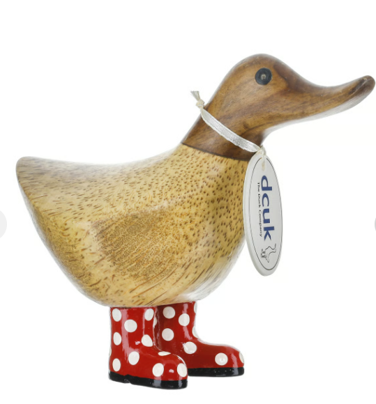 Spotty Boot Ducky's