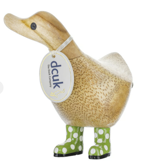 Spotty Boot Ducky's
