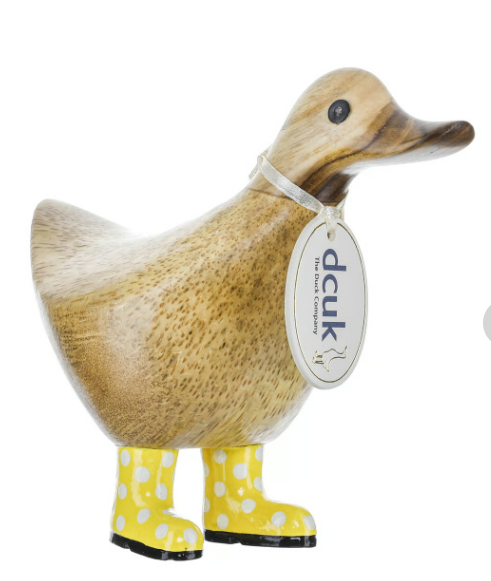Spotty Boot Ducky's