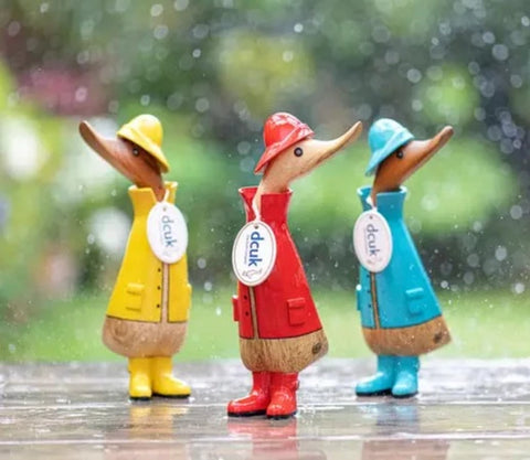 Raincoat Ducklings